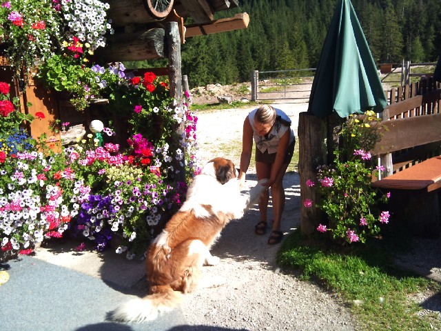 07_Tierparadies_Rossalm