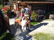 05_du_riechst_nach_Schweiss