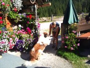 07_Tierparadies_Rossalm