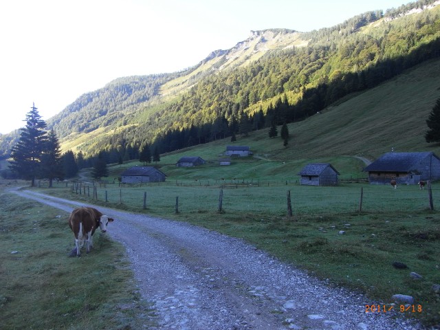 RIMG3324