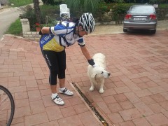 Rossis_Hund