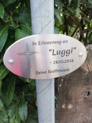 IMG_20190418_160901_1